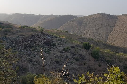 Tour image 4